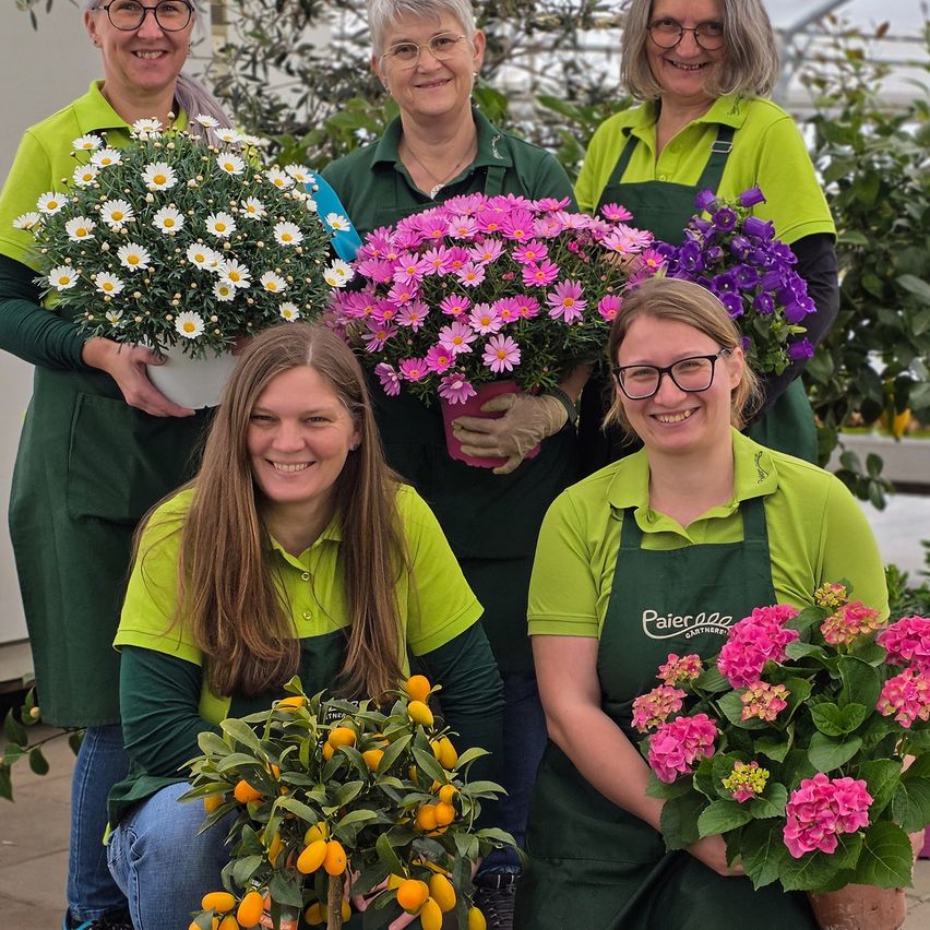 Fünf Frauen in grünen Uniformen posieren für ein Foto in einem Gewächshaus und halten verschiedene Blumen. Zwei Frauen im Hintergrund stehen und lächeln, während drei Frauen vorne hocken und lächeln, eine rosa Blume, einen Zitronenbaum und eine Gänseblümchenpflanze haltend.