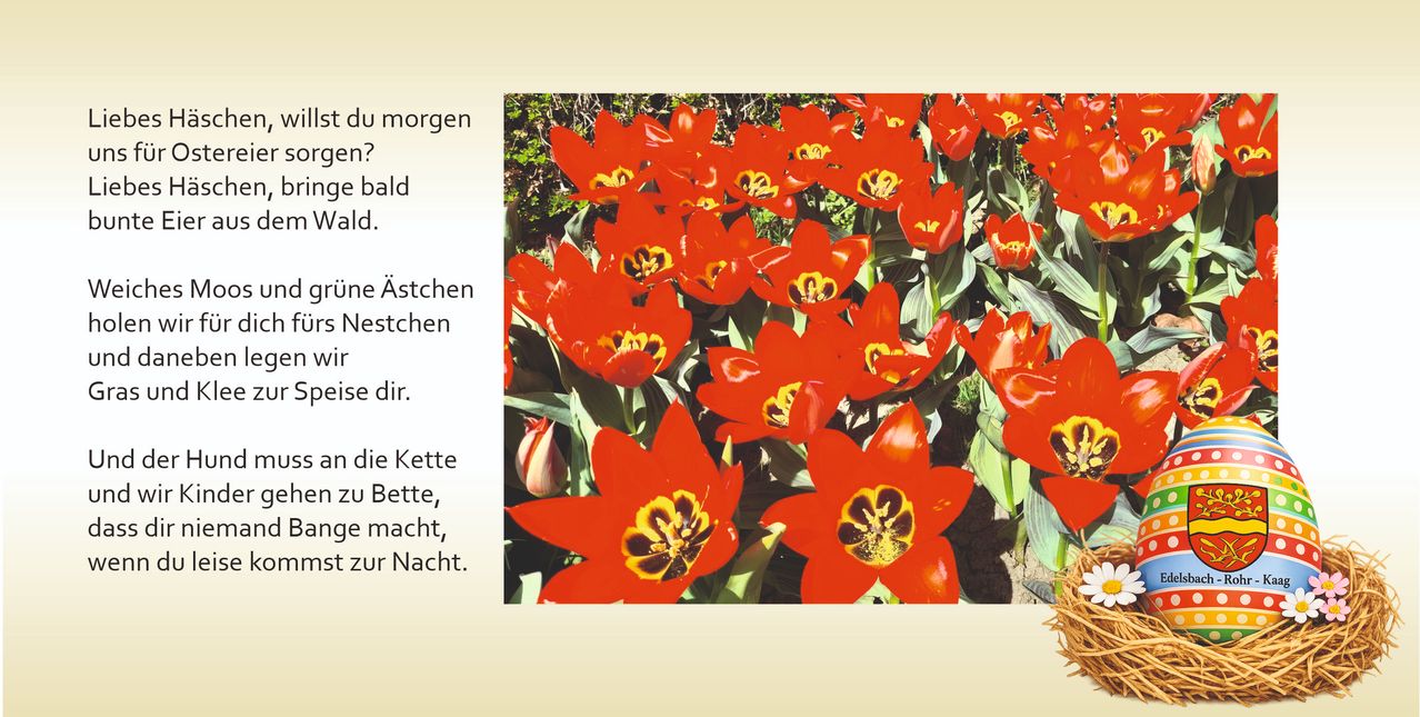 A close-up of vibrant red tulips with yellow centers. They are in full bloom and appear fresh. The background is slightly blurred.