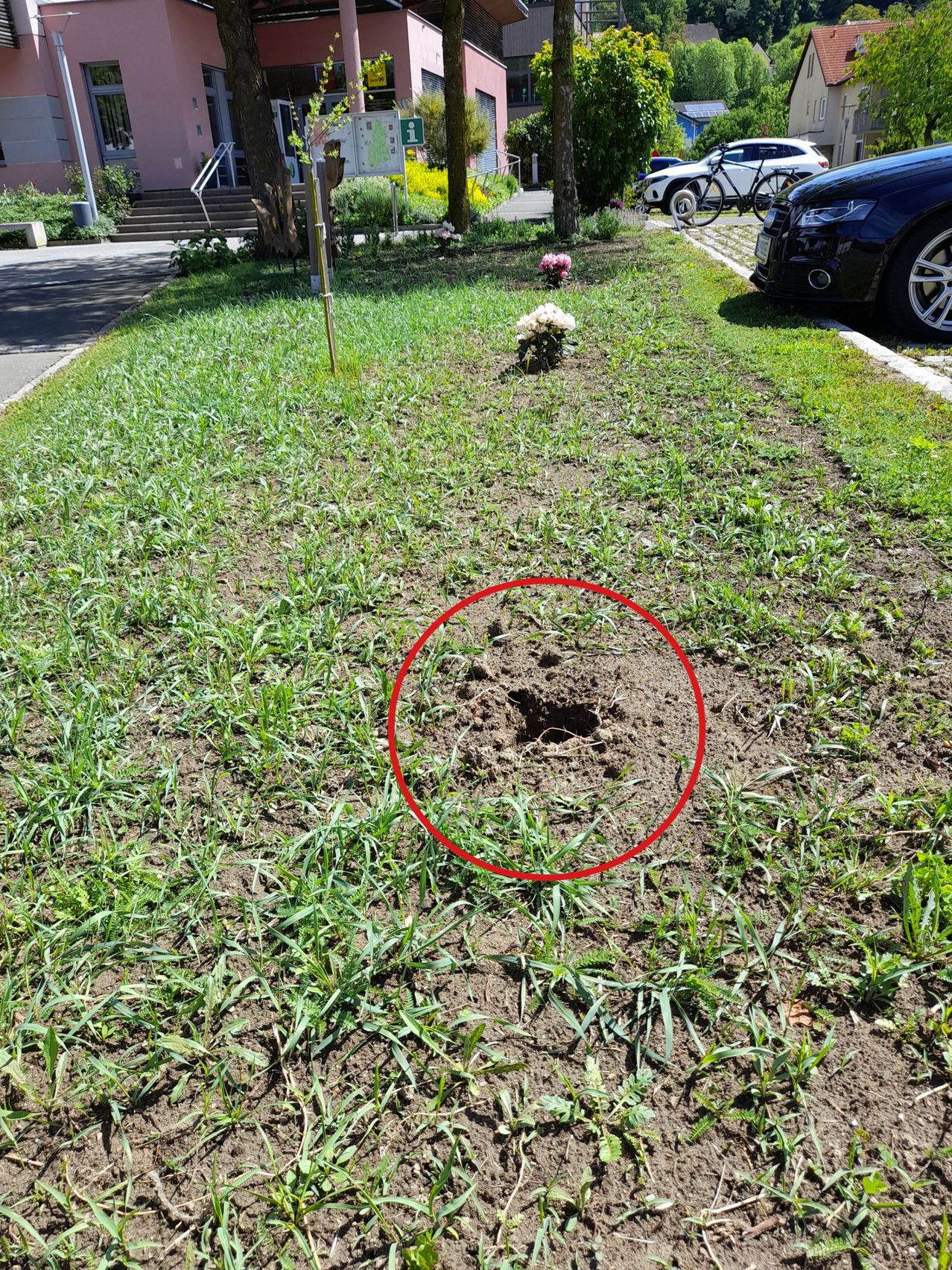 A red circle highlights a small hole in a grassy area with two small flower arrangements. A car is parked nearby.