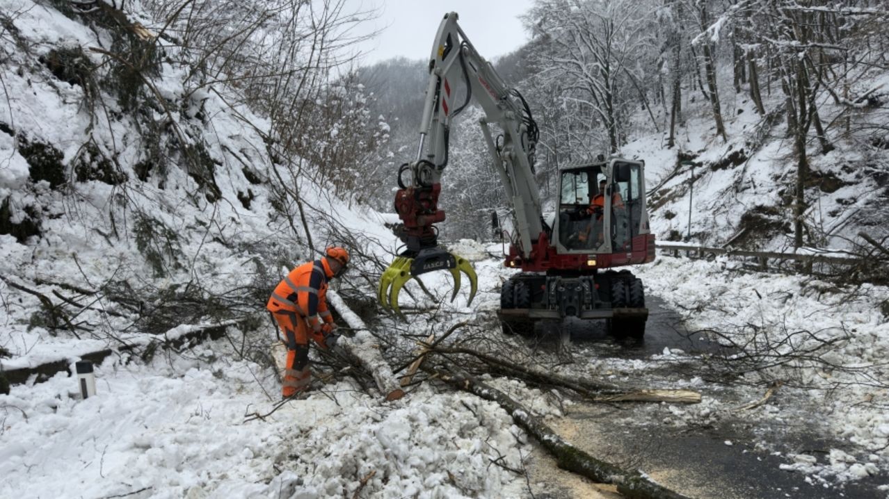 Arbeiter benutzen eine große Maschine, um einen umgestürzten Baum auf einer verschneiten Straße zu entfernen, mit schneebedeckten Bäumen im Hintergrund.
