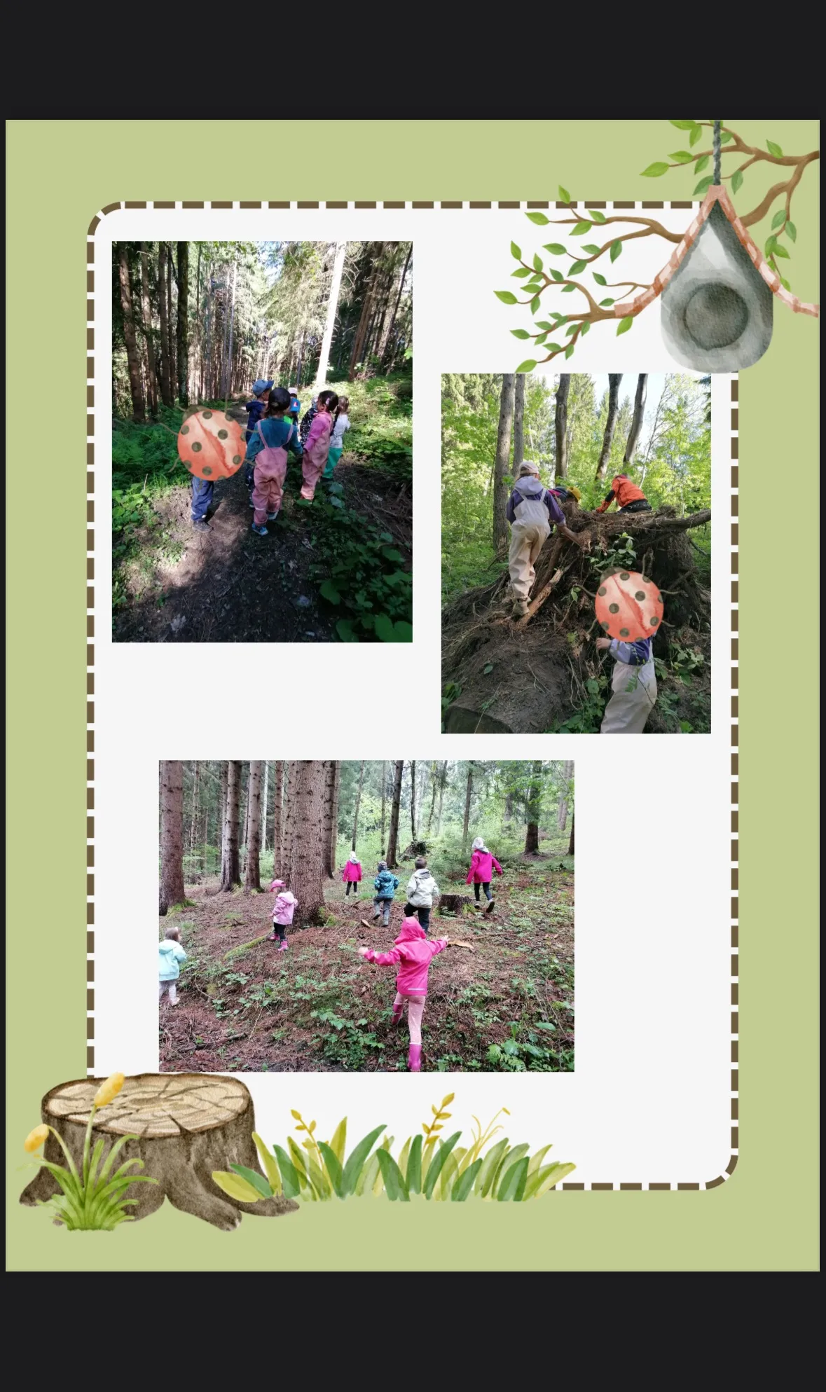 Drei Bilder zeigen Kinder im Wald. Eine Gruppe läuft auf einem Pfad, eine andere klettert auf einen Haufen Holz und eine dritte erkundet das Unterholz.