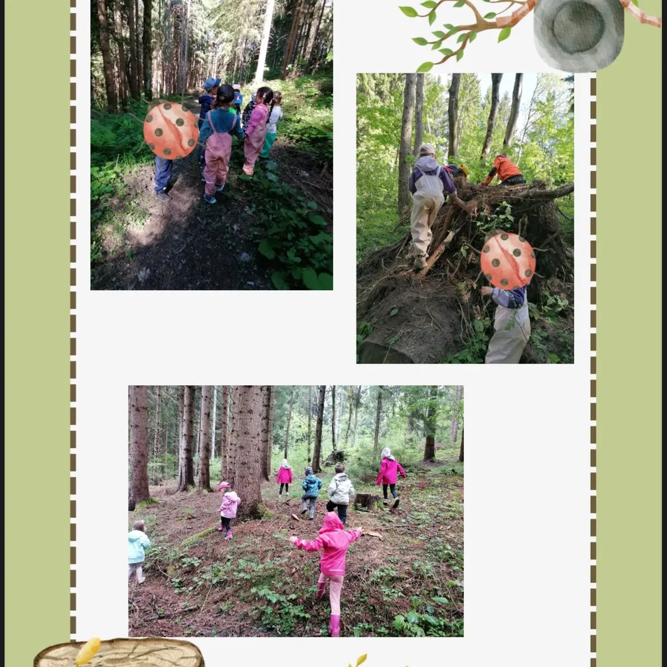 Drei Bilder zeigen Kinder im Wald. Eine Gruppe läuft auf einem Pfad, eine andere klettert auf einen Haufen Holz und eine dritte erkundet das Unterholz.