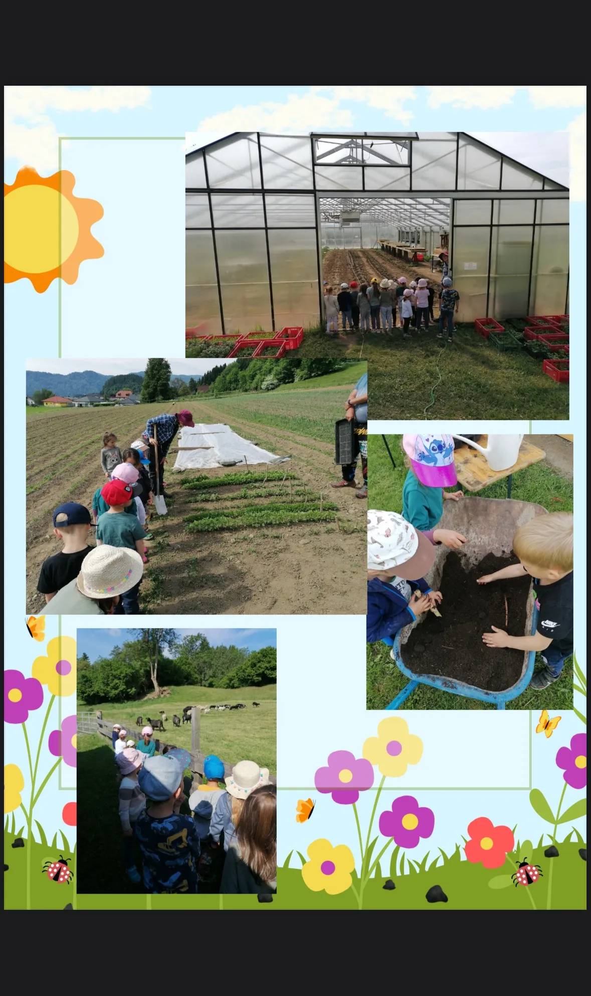 Eine Collage von Kindern beim Gärtnern zeigt sie beim Pflanzen, Gießen und mit Pflanzen interagieren. Die Kinder tragen Hüte und stehen unter Aufsicht.