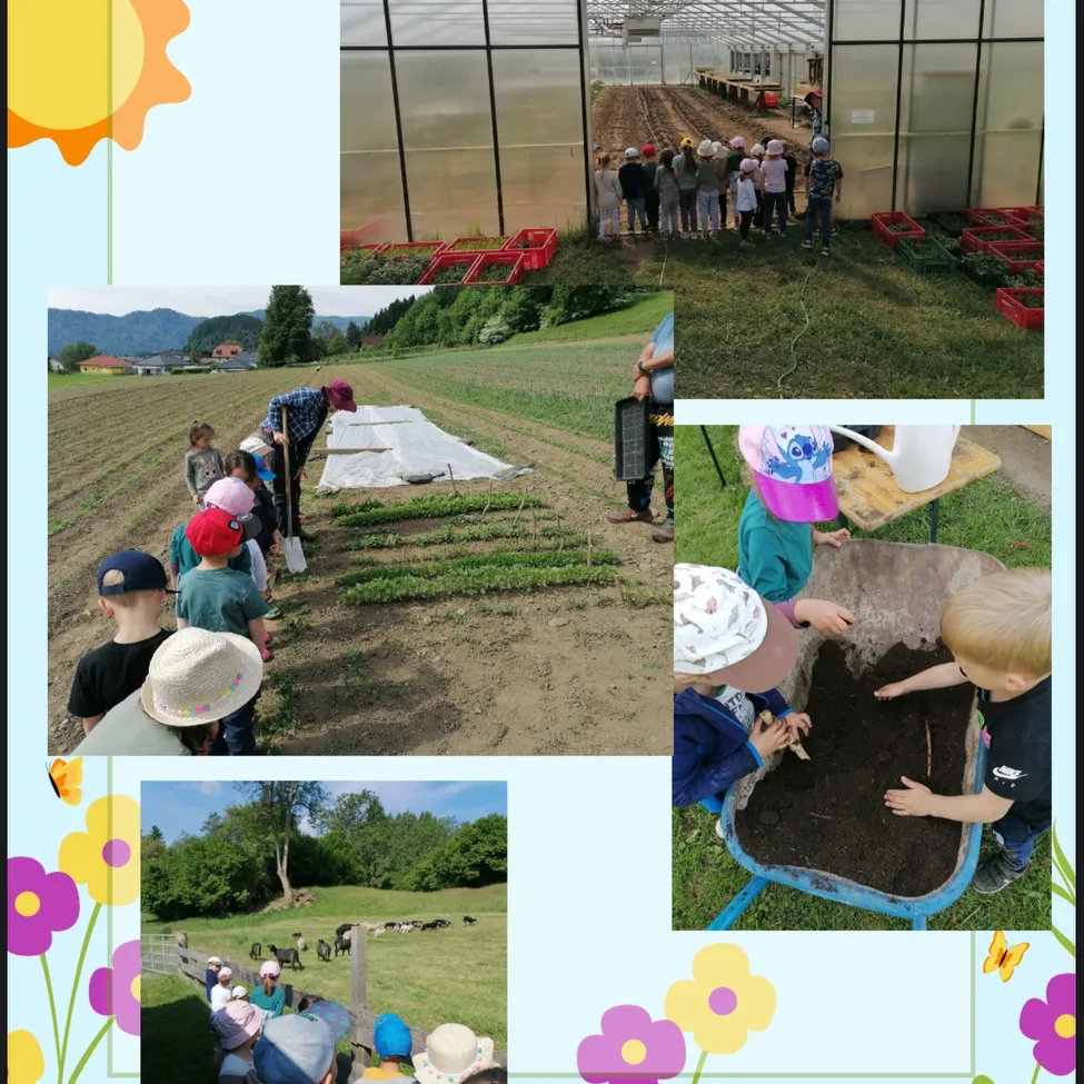 Eine Collage von Kindern beim Gärtnern zeigt sie beim Pflanzen, Gießen und mit Pflanzen interagieren. Die Kinder tragen Hüte und stehen unter Aufsicht.