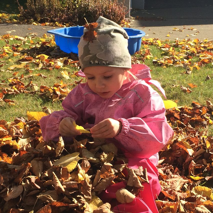 A young girl in a pink jacket is sitting on a pile of leaves, holding a leaf. She is surrounded by other leaves on the ground. In the background, there is a blue bucket.