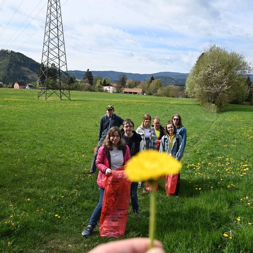 Eine Gruppe von Menschen auf einem Feld mit Blumen und einem Strommast im Hintergrund. Sie halten Müllsäcke.
