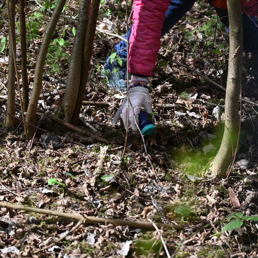 Eine Person mit Handschuhen und einer rosa Jacke hockt in einem Wald und untersucht etwas am Boden.