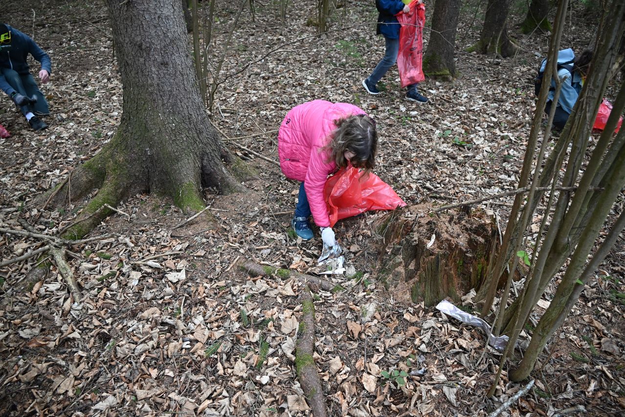Eine Frau in einer rosa Jacke sammelt Müll in einem Wald, in der Nähe eines Baumstumpfs. Eine Person in Blau steht im Hintergrund.