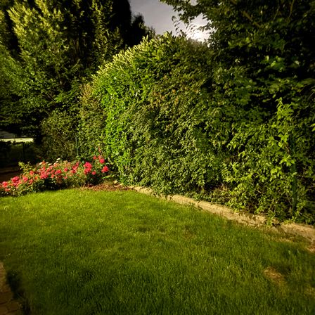 Bild enthält, Grass, Plant, Garden, Nature, Outdoors, Lawn, Vegetation, Tree, Path, Walkway