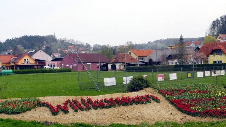 v1_migrated_image_77169127