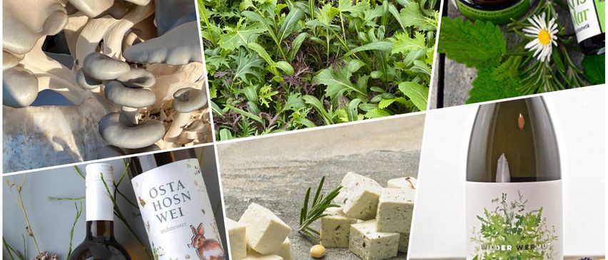 Bild enthält, Herbal, Herbs, Plant, Collage, Bottle, Beverage, Alcohol, Beer, Fungus, Flower