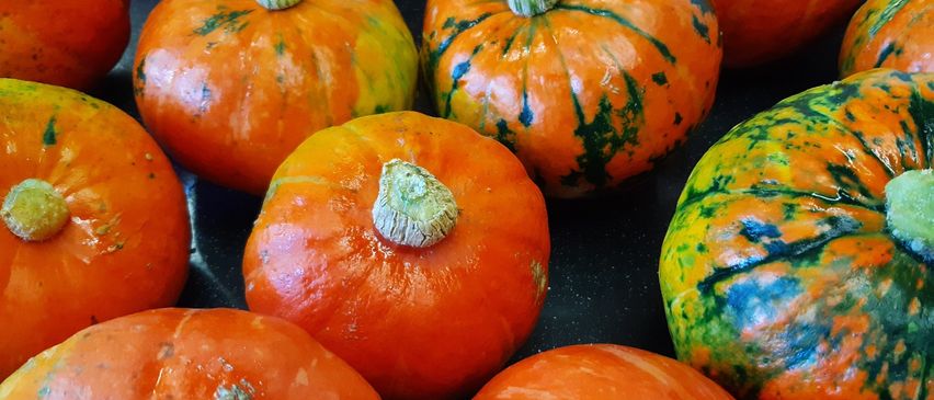 Ein Nahaufnahme verschiedener kleiner Kürbisse in verschiedenen Farben. Orange, grün und gelbe Farbtöne schmücken die Kürbisse und zeigen ihr lebhaftes Herbstaussehen.