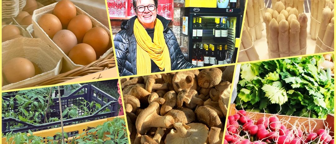 Eine Collage von Bauernprodukten: Eier, eine lächelnde Frau, Pilze, Gemüse, Weinflaschen und frisches Grün.