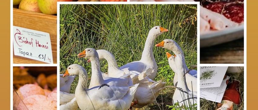 Bild enthält, Apple, Food, Fruit, Plant, Produce, Animal, Bird, Bread, Lunch, Meal