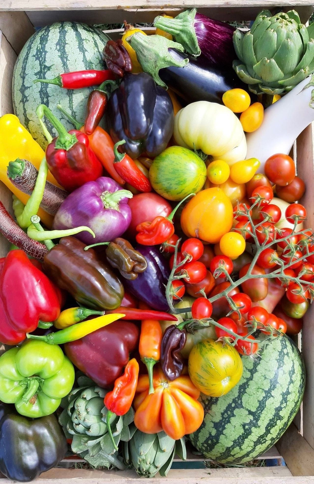 Bild enthält, Food, Produce, Fruit, Plant, Medication, Pill, Box