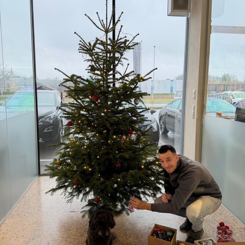 Ein Mann schmückt einen Weihnachtsbaum in einem Gebäude mit Glaswänden, während ein schwarzer Hund zusieht. Draußen sind Autos geparkt.