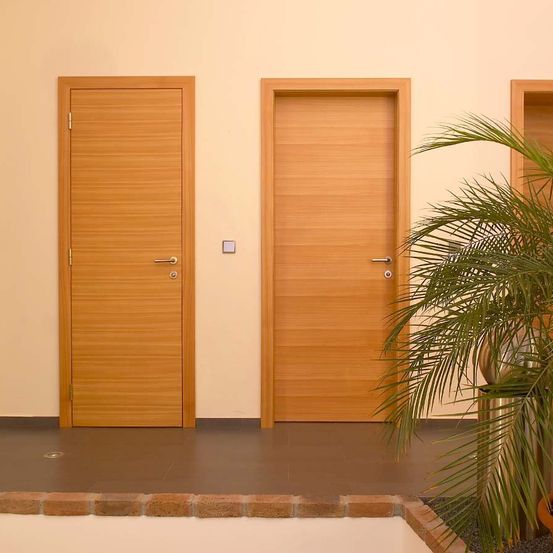 Zwei geschlossene Holztüren mit silbernen Griffen an einer weißen Wand, neben einem Topfpalmenbaum.