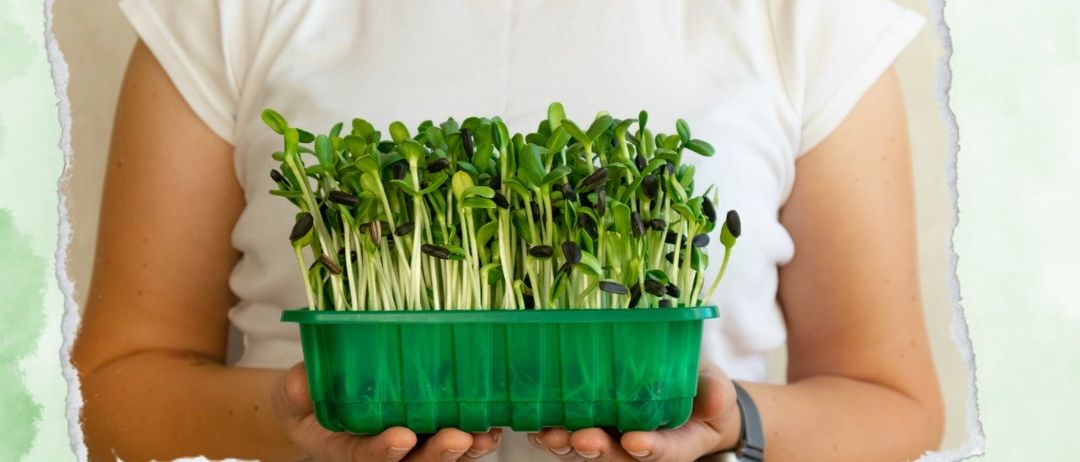 Bild enthält, Herbal, Herbs, Plant, Adult, Male, Man, Person, Advertisement, Face, Poster