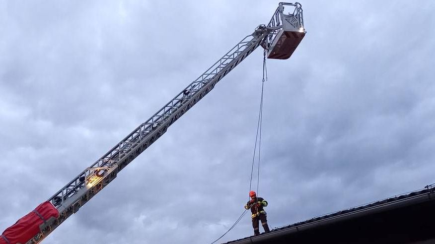 v1_migrated_image_28252584