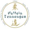 Judoclub Hallein/Tennengau-Logo