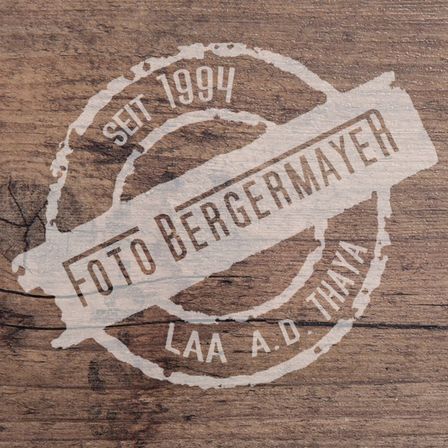 v1_migrated_image_58216017