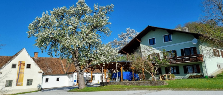 Zwei Häuser in einem Dorf mit blauem Himmel. Ein Haus hat ein braunes Dach und einen Schornstein, das andere ein grünes Dach und einen Balkon. Ein Baum mit weißen Blüten steht vor den Häusern, und eine kleine Struktur befindet sich rechts.