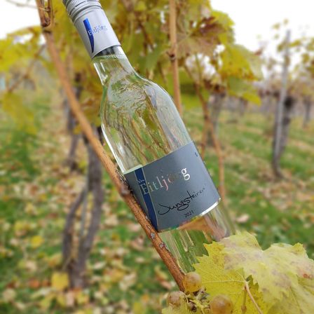 Eine Flasche Ettlijörg-Wein hängt an einem Weinrankenzweig und zeigt den Markennamen und das Jahrgangsjahr 2021 auf dem Etikett vor einem verschwommenen Hintergrund aus grünen Blättern und einem Feld.