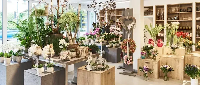 Ein Geschäft mit Holzregalen, Betontischen und einer Vielzahl von Topfpflanzen und Blumen. Die Pflanzen sind dekorativ ausgestellt, und es gibt auch Kränze und Blumenarrangements in den Regalen.