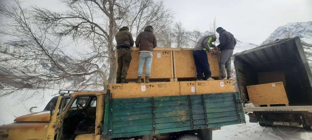 Fünf Personen stehen auf einem Holzkisten auf einem gelben Lastwagen und laden wahrscheinlich in einem verschneiten Gebiet mit einem Berg im Hintergrund ab.