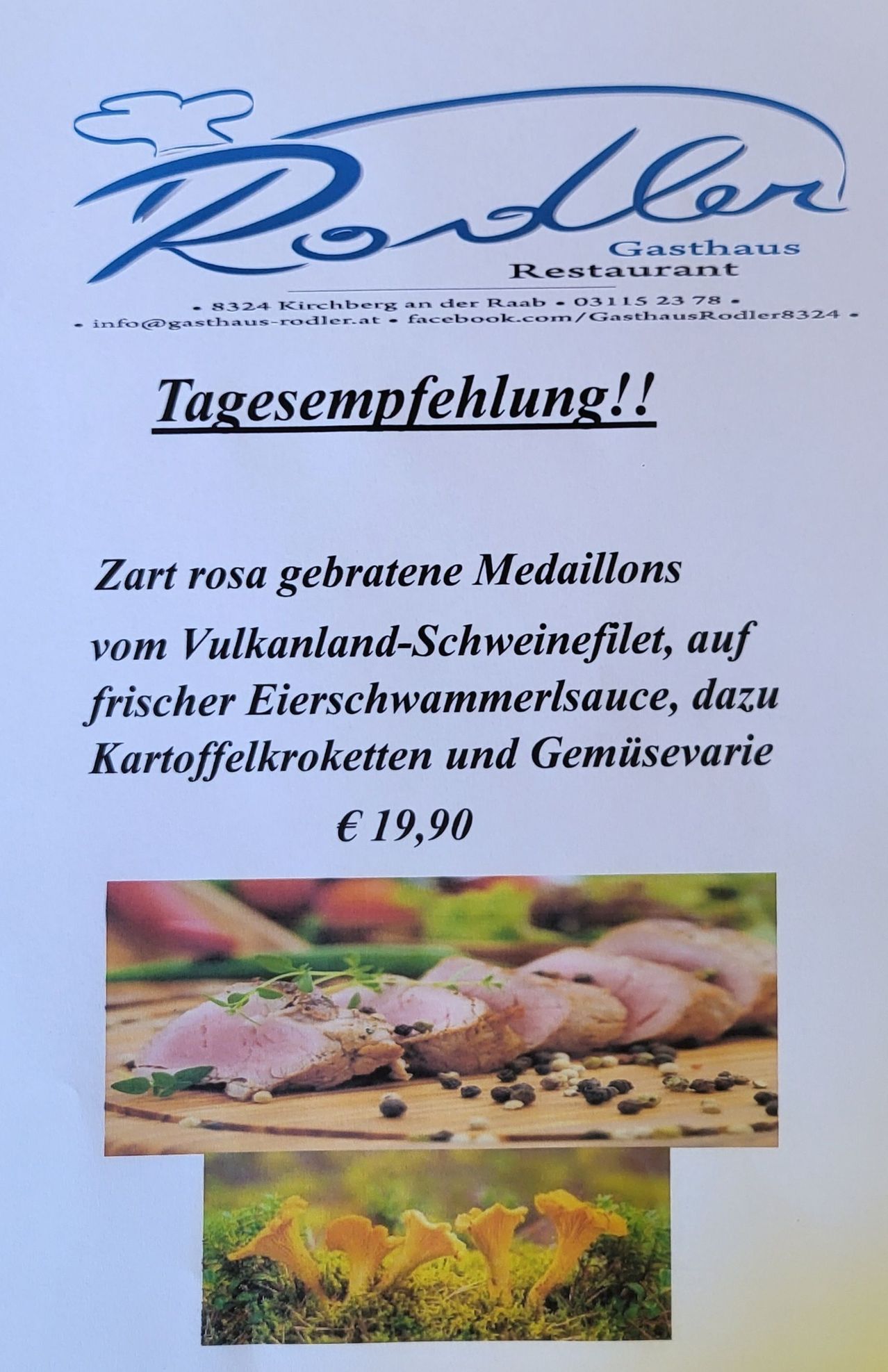 Tagesempfelung: Zart rosa gebratene Medaillons vom Vulkanland-Schweinefilet, auf frischer Eierschwammerlsauce, dazu Kartoffelkroketten und Gemüsevarietäte. €19,90.