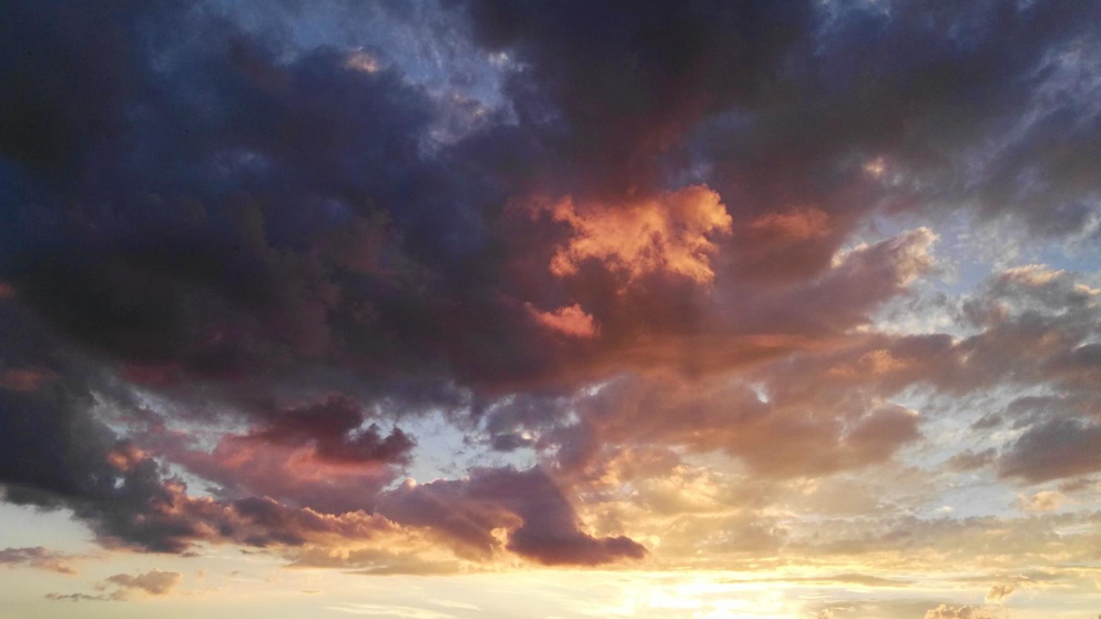 v1_migrated_image_87308815