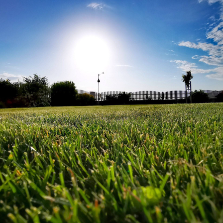 v1_migrated_image_30441194