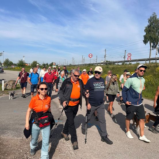 Bild enthält, Person, Walking, People, Adult, Male, Man, Dog, Glasses, Shoe, Car