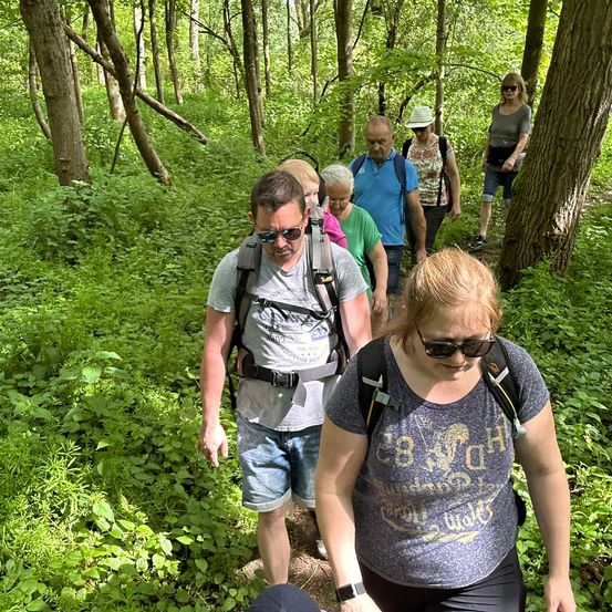 Bild enthält, Hiking, Nature, Outdoors, Vegetation, Land, Tree, Woodland, Path, Jungle, Bag