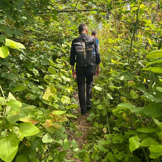 Bild enthält, Bag, Hiking, Person, Backpack, Backpacking, Vegetation, Adult, Male, Man, Path