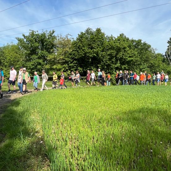 Bild enthält, Person, Walking, People, Nature, Outdoors, Vegetation, Shoe, Field, Grass, Park
