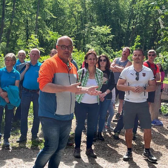 Bild enthält, Grove, Land, Tree, Vegetation, Woodland, People, Park, Pants, Walking, Soil
