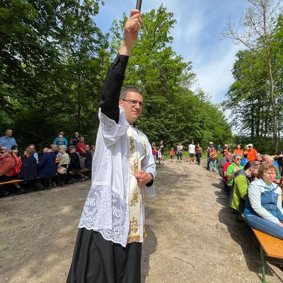 Bild enthält, Park, Person, Portrait, Tree, People, Vegetation, Adult, Bride, Female, Woman