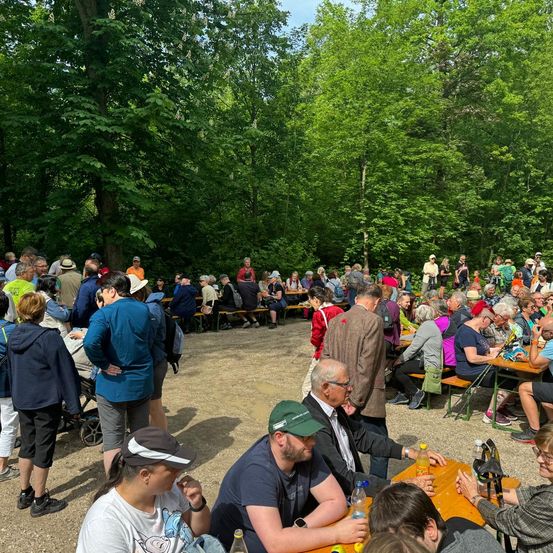 Bild enthält, Grass, Outdoors, Park, Grove, Land, Tree, Vegetation, Woodland, People, Shelter