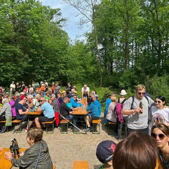 Bild enthält, Grass, Nature, Outdoors, Park, Vegetation, People, Person, Tree, Woodland, Grove