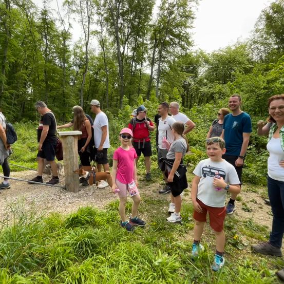 Bild enthält, Park, Vegetation, Tree, Woodland, Person, Walking, People, Adult, Female, Woman