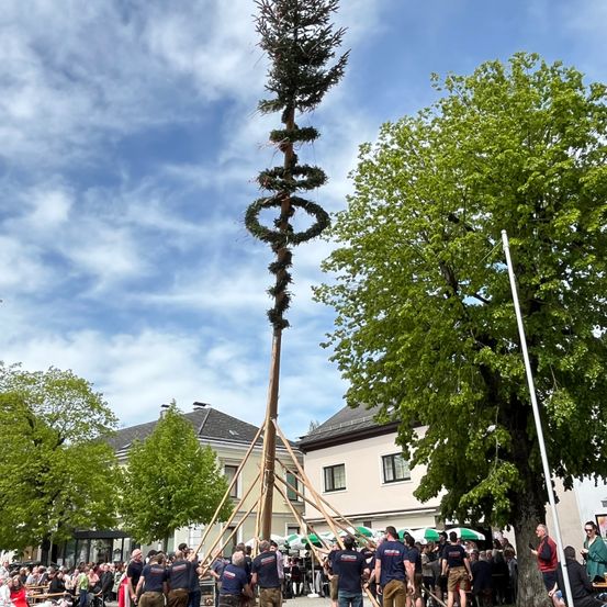 Bild enthält, Tree, Person, Walking, Fir, People, City, Shoe, Head, Conifer