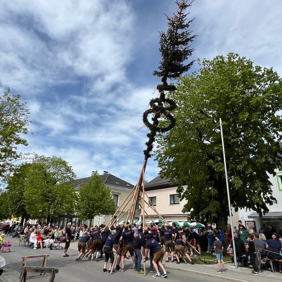 Bild enthält, People, Person, Tree, Road, Shoe, Shorts, Fir, Chair, City, Urban