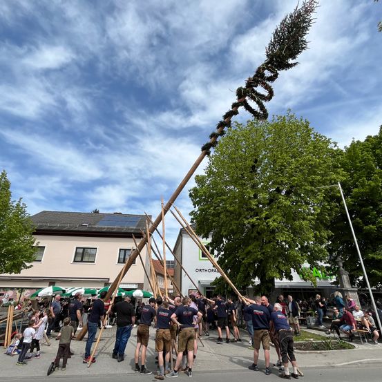 Bild enthält, People, Person, Walking, Shoe, Tree, City, Neighborhood, Outdoors