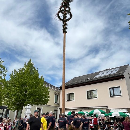 Bild enthält, Tree, Palm Tree, Neighborhood, Shelter, City, Street, Shoe, Adult, Man, Person