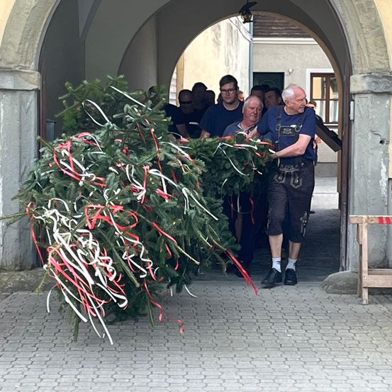 Bild enthält, Path, Walkway, Potted Plant, Pants, Arch, Coat, Person, Shorts, Adult, Man