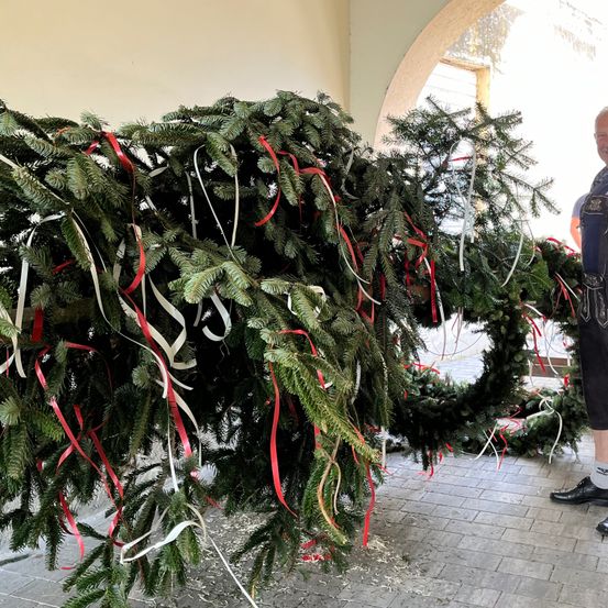Bild enthält, Adult, Male, Man, Person, Tree, Shorts, Shoe, Christmas Decorations, Festival, Face