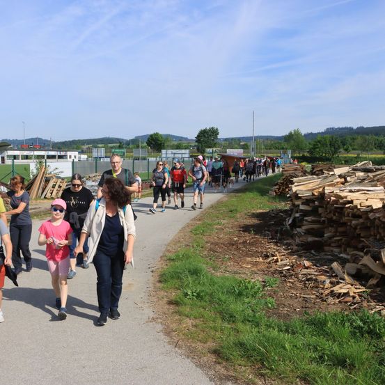 Bild enthält, Wood, Person, Walking, Lumber, Shoe, Adult, Female, Woman, Glasses, Handbag