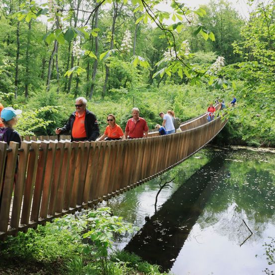 Bild enthält, Canoeing, Person, Jungle, Vegetation, Pond, Hat, Adult, Male, Man, Glasses