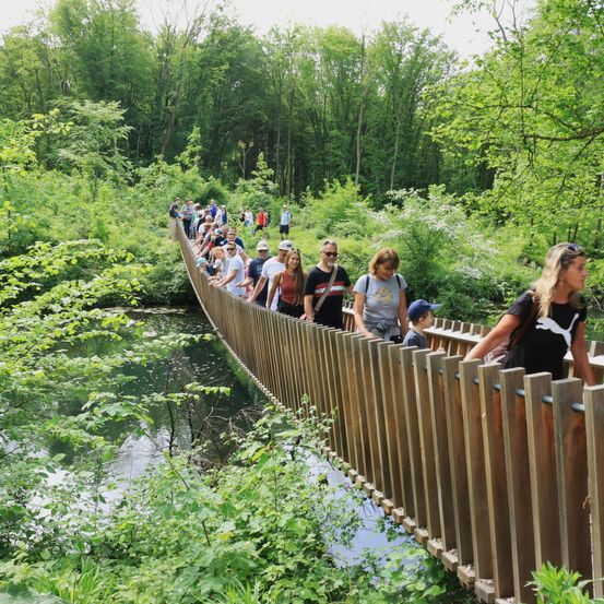 Bild enthält, Vegetation, Hat, Canoeing, Person, Nature, Outdoors, Jungle, Tree, Path, Woman